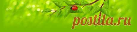 (36) Одноклассники