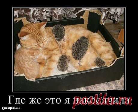 хх
