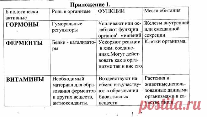 железы внутренней секреции таблица – Google Поиск