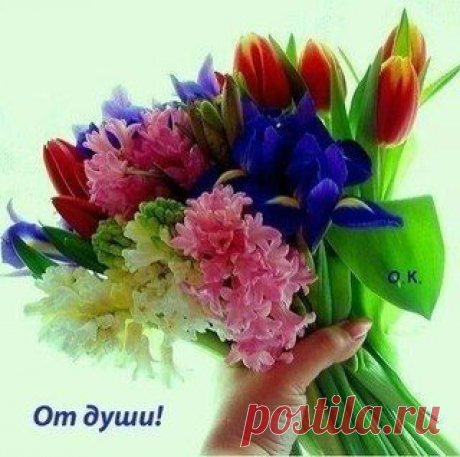 9DNajFatHjY.jpg (320×318)