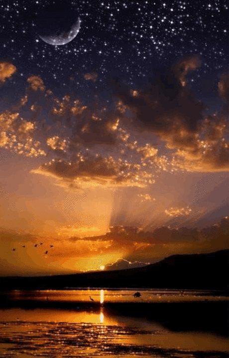 c86ec15a4786fbd1ced5c5a005bb99d4.gif (400×624)