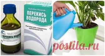 Сегодня мы расскажем, как обычная перекись водорода сможет помочь вам не только в дезинфекции ран и царапин, но и прекрасно справится с бытовыми проблемами. Уверена, вы точно не...