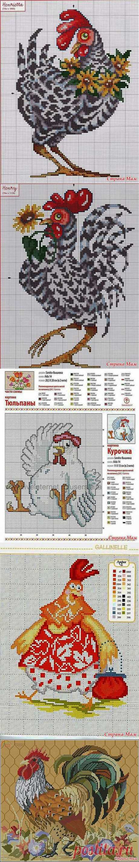 Куры: Дневник группы &quot;Схемы для вышивки&quot; - Страна Мам