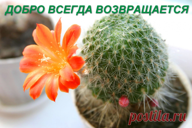 Как работает закон бумеранга в нашей жизни - рассказ-притча &raquo; Женский Мир