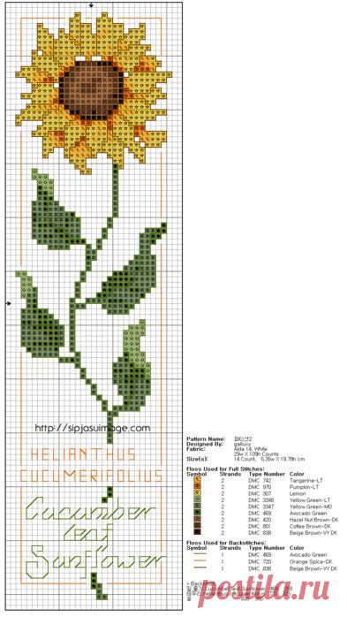 подсолнухи вышивка крестом: 19 тыс изображений найдено в Яндекс.Картинках