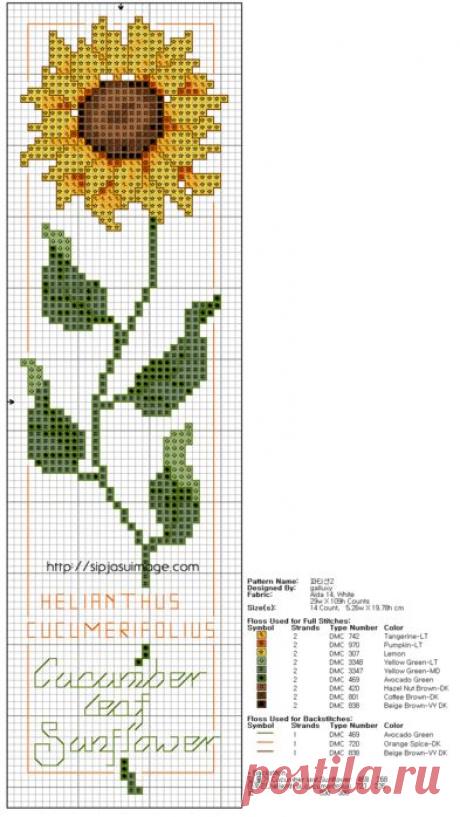 подсолнухи вышивка крестом: 19 тыс изображений найдено в Яндекс.Картинках