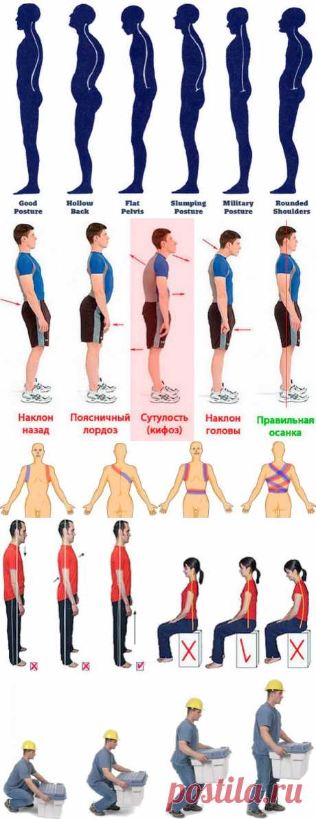 Здоровая спина — красивая осанка — Всегда в форме!