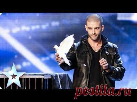 Иллюзия с голубями, поразившая весь мир – Фитнес для мозга