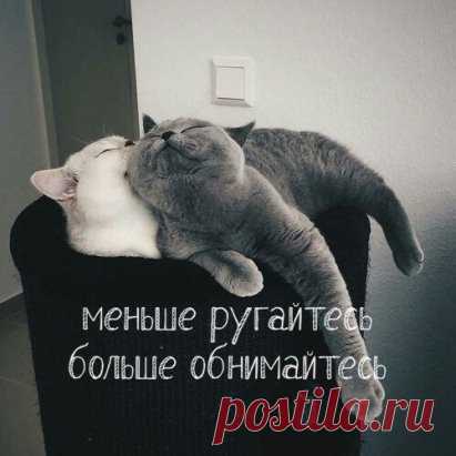 Совет дня