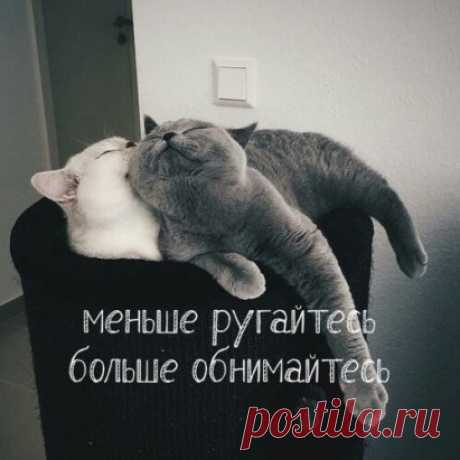 Совет дня