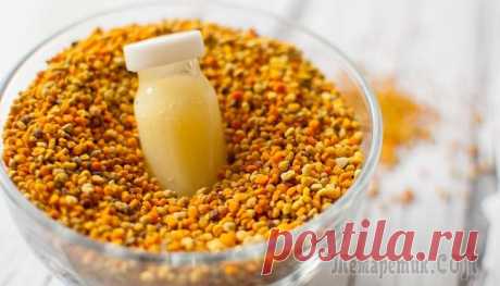 8 продуктов пчеловодства, используемых в медицине
