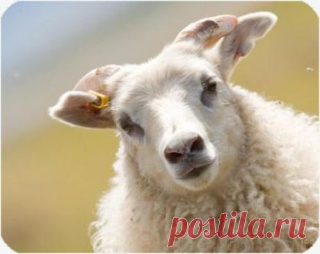 Индийский гороскоп. Часть три - Все случается, рано или поздно, так или иначе