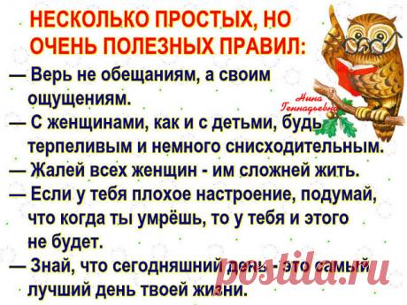 Точнее и не скажешь! ⇓⇓⇓