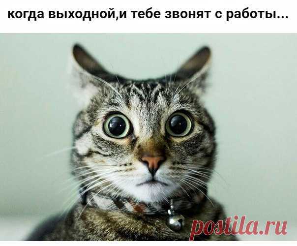 Бот Красивые Картинки
