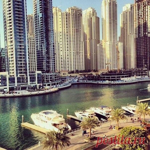 Радоваться жизни -  самое правильное ре / Основы бизнеса