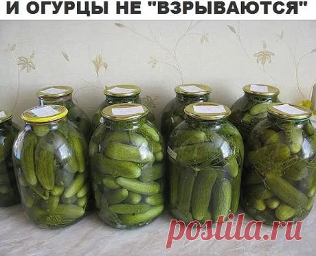 Способ засолки огурцов - чтоб банки никогда не взрывались! - Огород, сад, балкон - медиаплатформа МирТесен