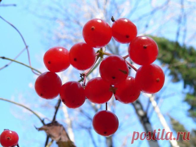 Новокузнецк
Владислав Башлыков