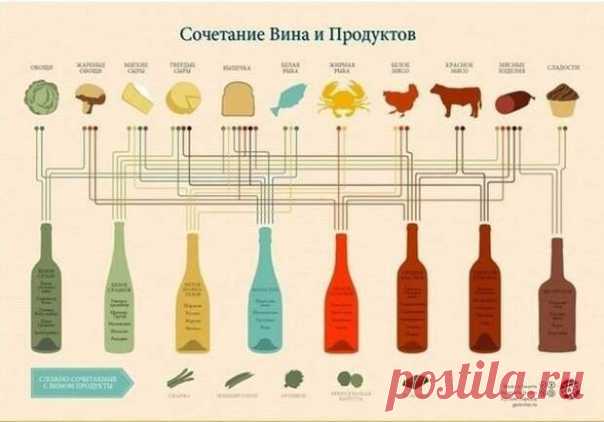 Сочетание вина и продуктов | Хитрости Жизни