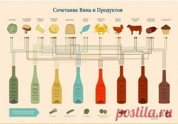 Страна Полезных Советов