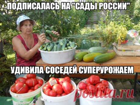 Мы собираем лучшие советы для суперурожая 2017
