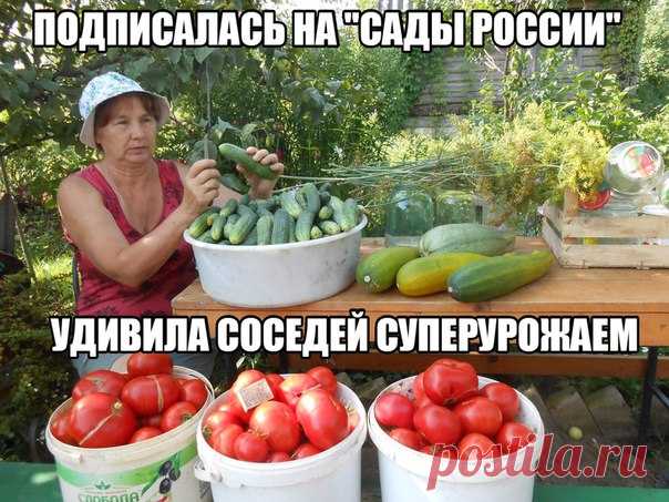 Мы собираем лучшие советы для суперурожая 2017