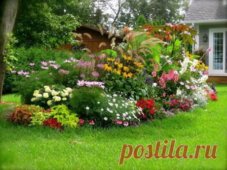 Из коллекции «сад и растения на нем» кустарник