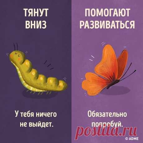 Есть только два типа людей: одни тянут вниз, с другими можно свернуть горы