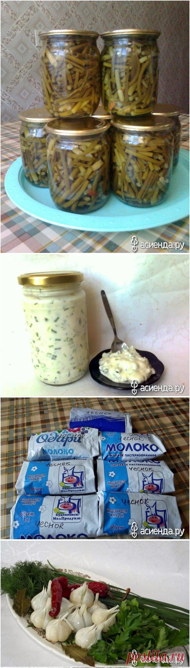 ЧЕСНОК. РЕЦЕПТЫ. ЗАГОТОВКА.