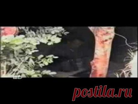 Окопная жизнь. Быт 2/3 - YouTube