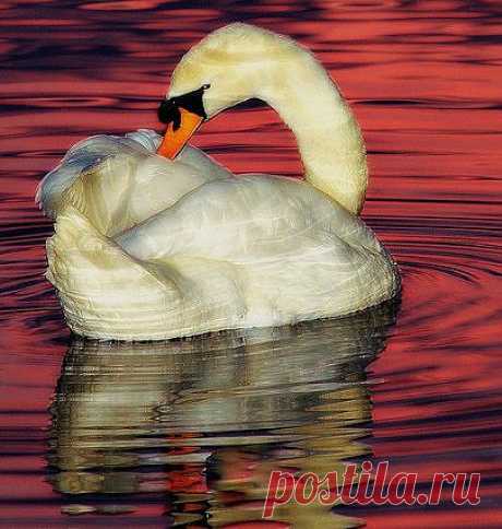 EVRENİN RENKLERİ &amp; ALLAHIN RENK SANATI &amp; THE ART OF GOD