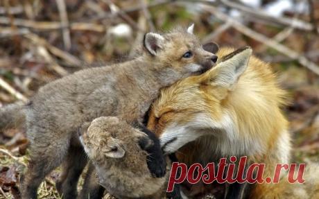 Удачный кадр | Фотографии и фотографы