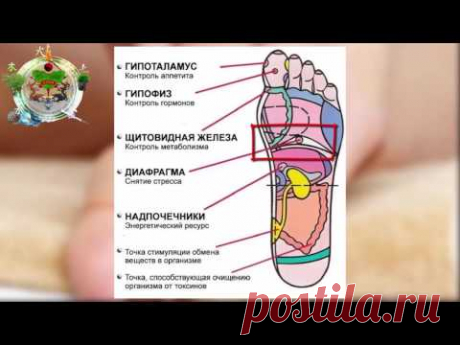 7 АКТИВНЫХ ТОЧЕК НА СТОПЕ ВЕРНУТ ВАС К ЖИЗНИ!