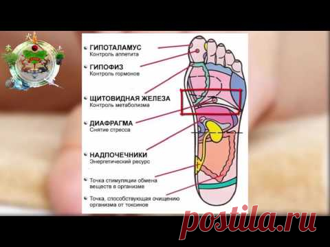 7 АКТИВНЫХ ТОЧЕК НА СТОПЕ ВЕРНУТ ВАС К ЖИЗНИ!