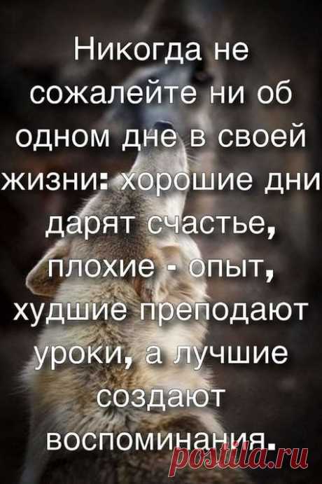 (292) Pinterest