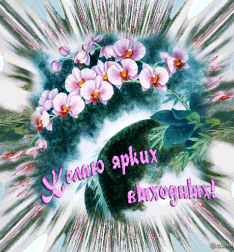 Анимация