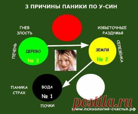 ПЕЧЕНЬ и ЖЕЛЧНЫЙ – стратегия и тактика борьбы с НЕРЕШИТЕЛЬНОСТЬЮ и БЕСПОКОЙСТВОМ..