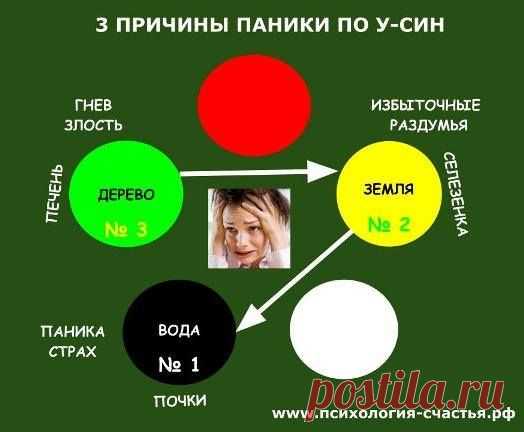 ПЕЧЕНЬ и ЖЕЛЧНЫЙ – стратегия и тактика борьбы с НЕРЕШИТЕЛЬНОСТЬЮ и БЕСПОКОЙСТВОМ..