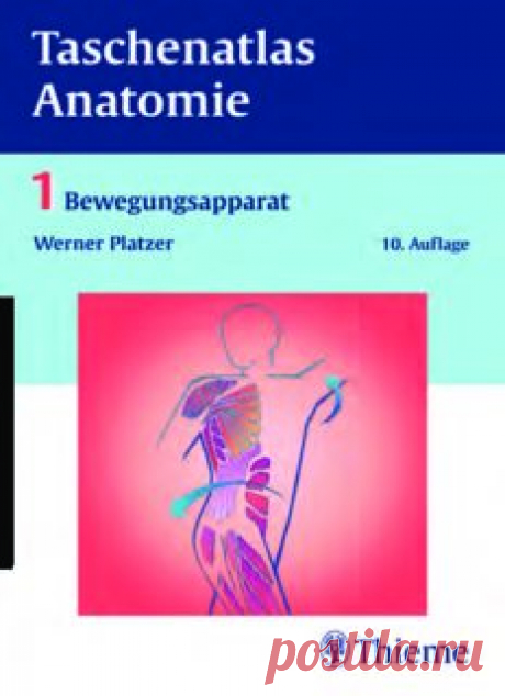 Taschenatlas Anatomie. Bewegungsapparat