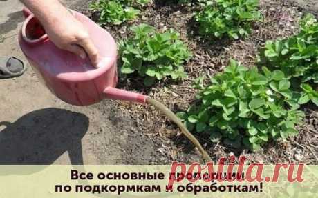 --ОГУРЦЫ 
 
- Опрыскивание 1 литр сыворотки, 20 кап йода на 10 литров воды от всех болезней.  
- Полив для завязей 1 литр молока на ведро воды, под корень.  
 
-- ТОМАТЫ  
 
- Опрыскивание 1 литр сыворотки, 20 кап йода на 10 литров воды.  
- Открытые пузырьки йода в теплице, 1 шт на 2 метра от фитофторы.  
- Опрыскивание от фитофторы фурацилином - 1 таблетка на литр воды.  
- Ведро хвоща, нарвать, накрыть крышкой на 3 дня. Потом залить водой, полить, это кремний и от фитофторы.  
 
-- КАПУСТА