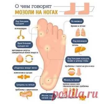 (19) Мой Мир@Mail.Ru