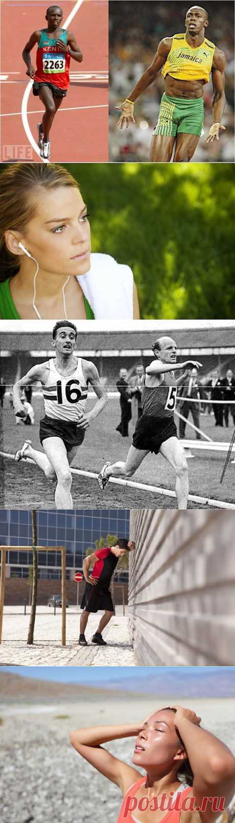 Советы бегунов | Беги, Лайфхакер, беги