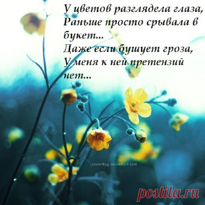 OWL Блюз - ЖИЗНЬ слегка замедляет ход...