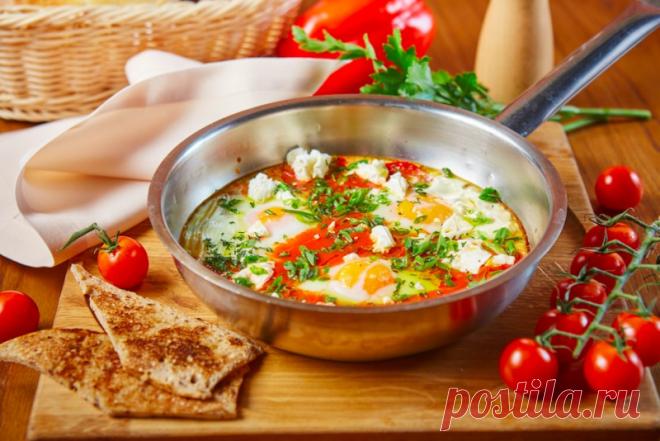 Яичница, рецепты яичницы, шакшука, рецепты от шефа
