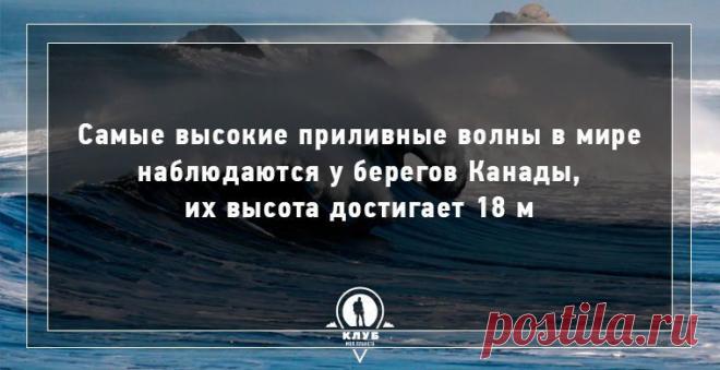 Интересные факты о гидросфере Земли (11 фото)