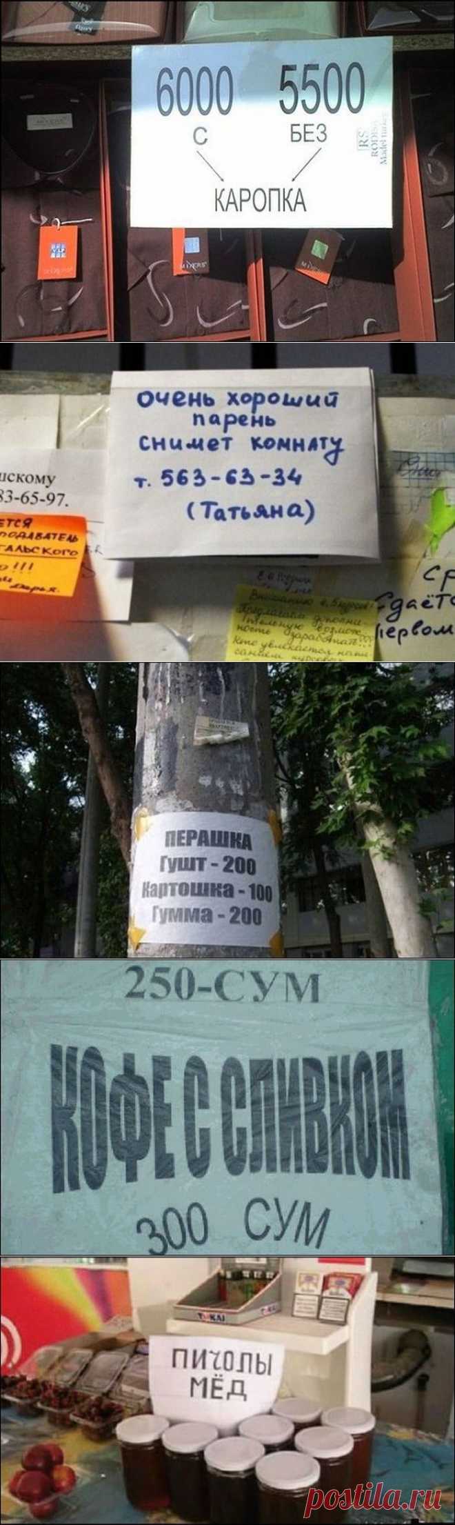 Великий и могучий в Узбекистане / Писец - приколы