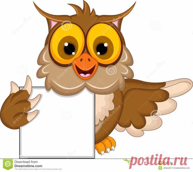 cute-owl-cartoon-holding-blank-sign-illustration-35322997.jpg (1300×1154)