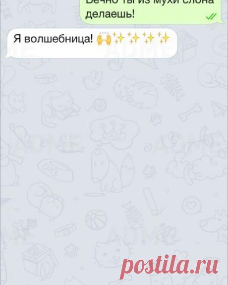 15 СМС о непостижимой женской логике