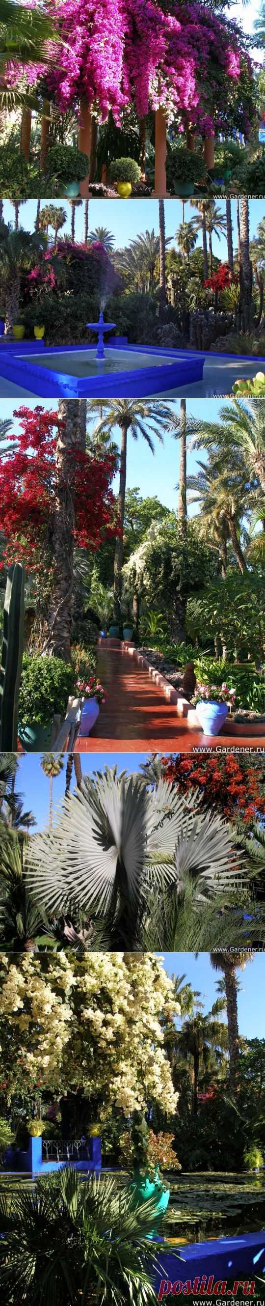 Удивительный Jardin Majorelle (сад Можераль) !
