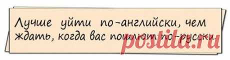 Анекдоты дня