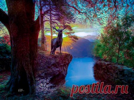 мои фантазии